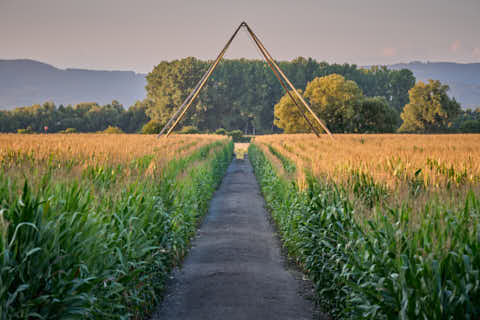 Gemeinde Atting Landkreis Straubing-Bogen Irrgarten Straubing (Dirschl Johann) Deutschland SR